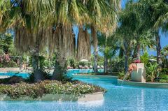 Holiday image