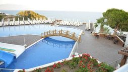 Holiday image