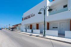 Bivalvia Beach Plus