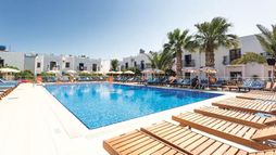 Holiday image