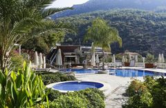 Holiday image
