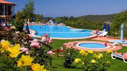 Holiday image