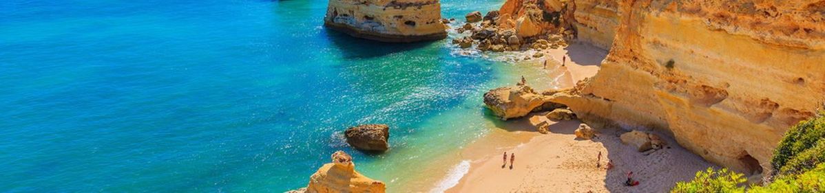 Holiday image
