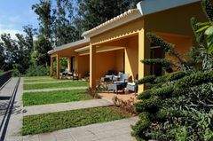 Holiday image