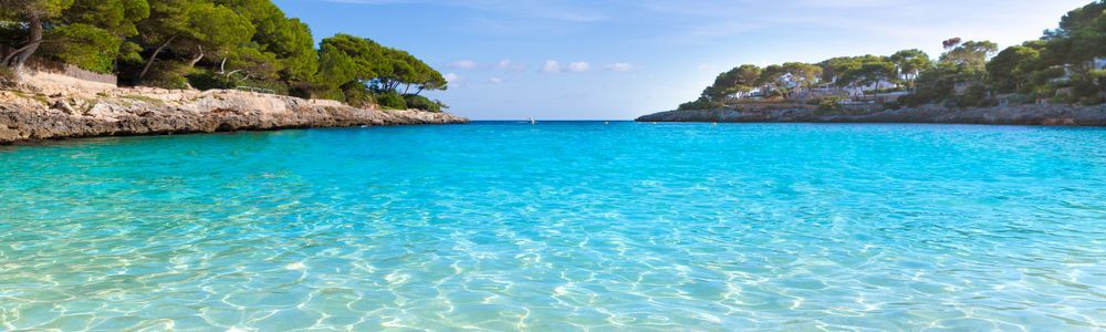 Holiday image