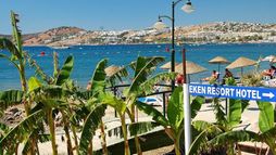 Holiday image