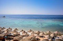 Dive Inn Resort