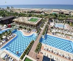 Trendy Verbena Beach