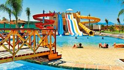 Holiday image