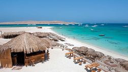 Holiday image