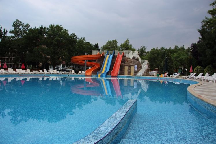Slide image