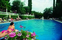 Holiday image