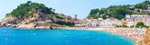 Holiday image