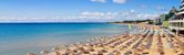 Holiday image