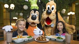 Walt Disney World Dolphin Resort