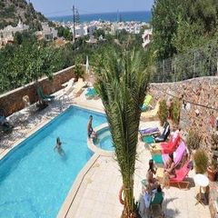 Holiday image