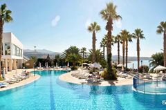 Holiday image