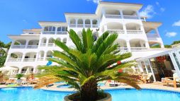 Holiday image