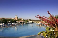 Holiday image
